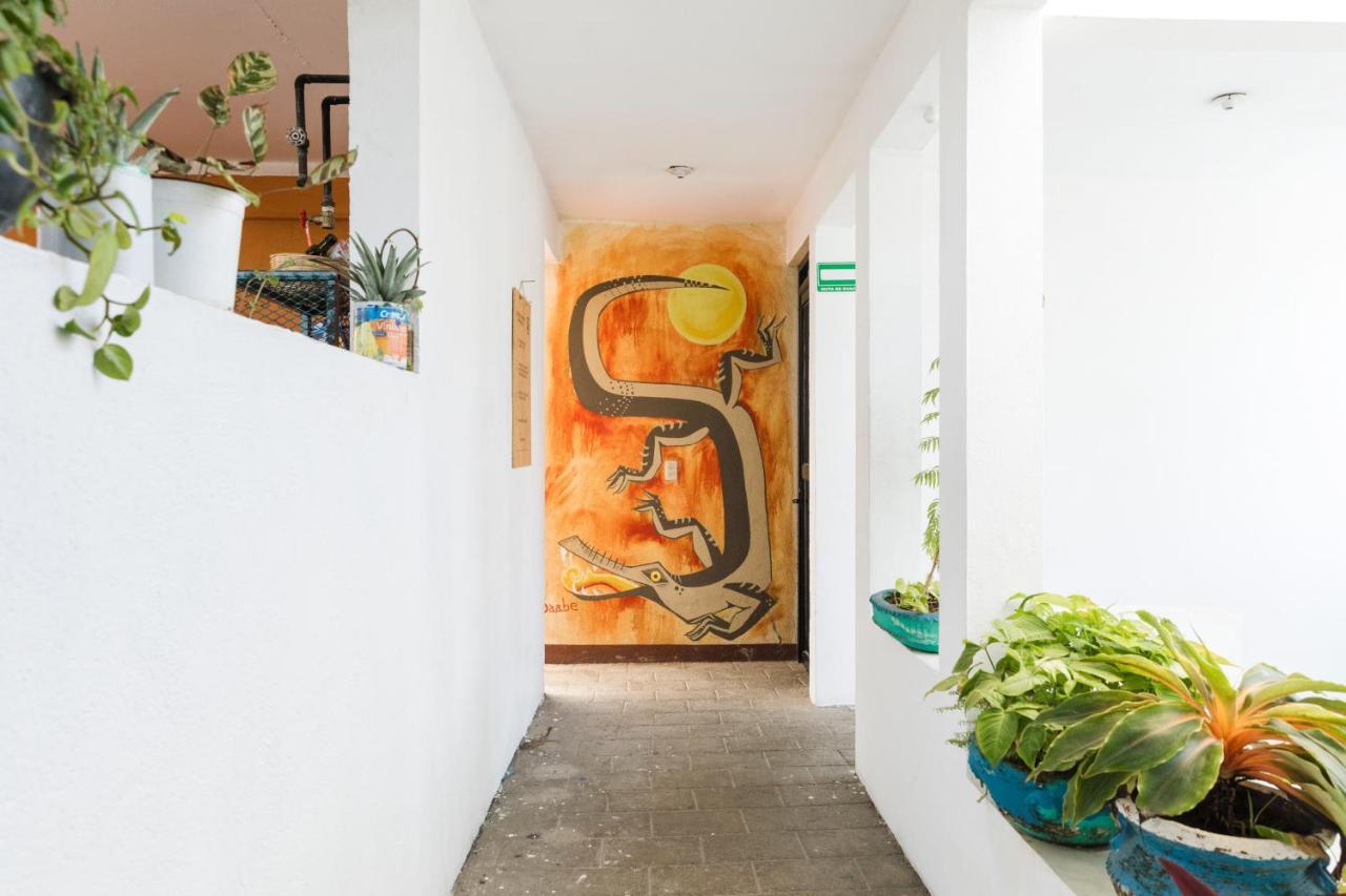Residencia Artistica Hostel Puerto Escondido  Εξωτερικό φωτογραφία